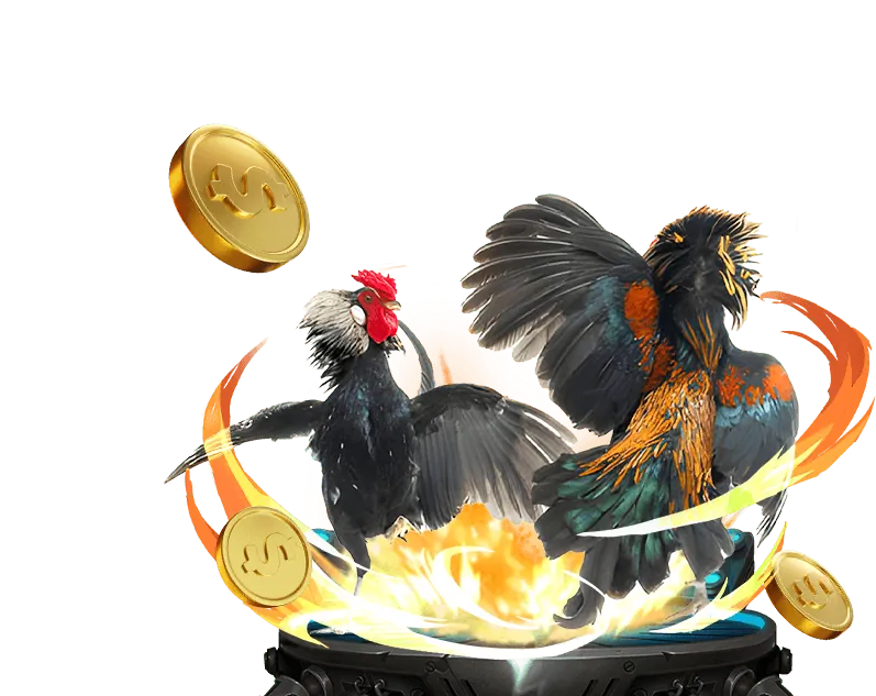 Hướng dẫn cho người mới bắt đầu chơi game casino trực tuyến